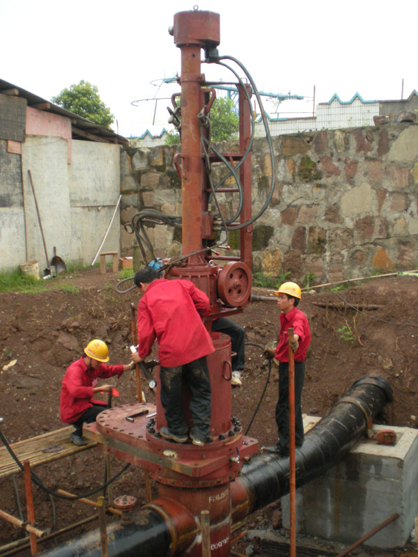 Guangdong Maoming project